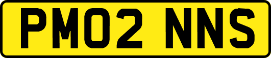 PM02NNS
