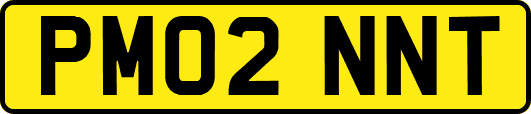 PM02NNT