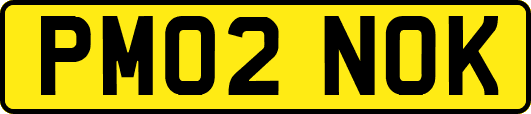 PM02NOK