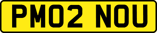 PM02NOU