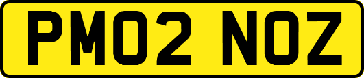 PM02NOZ