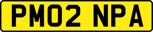 PM02NPA