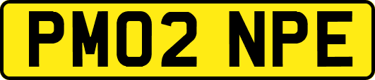 PM02NPE