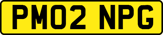 PM02NPG