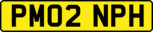 PM02NPH
