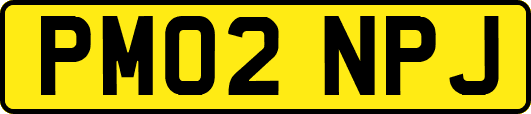 PM02NPJ