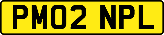 PM02NPL