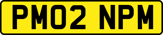 PM02NPM