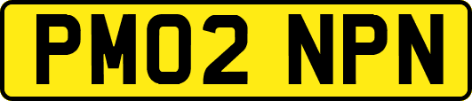 PM02NPN