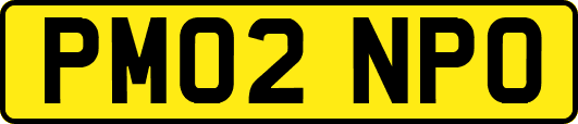 PM02NPO