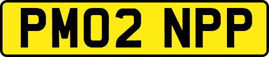 PM02NPP