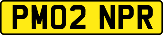PM02NPR