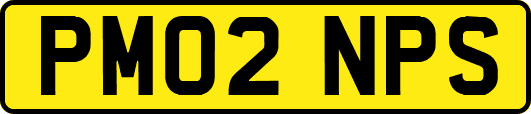 PM02NPS