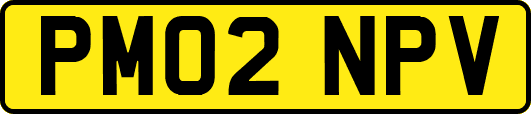PM02NPV