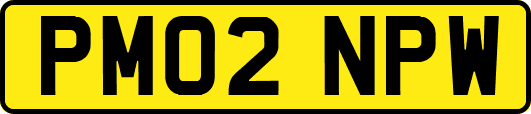 PM02NPW