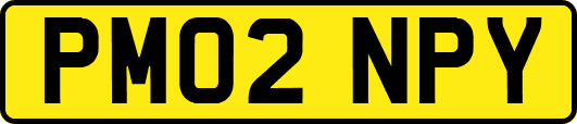 PM02NPY