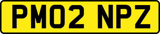 PM02NPZ