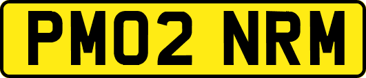 PM02NRM