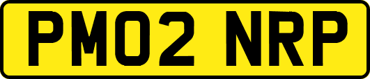 PM02NRP