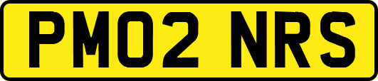 PM02NRS