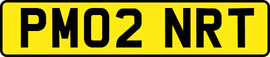 PM02NRT
