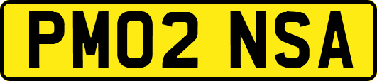 PM02NSA