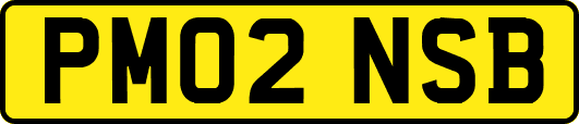PM02NSB