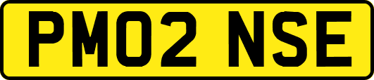 PM02NSE