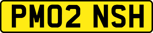 PM02NSH