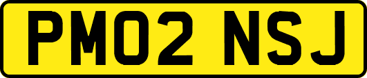 PM02NSJ