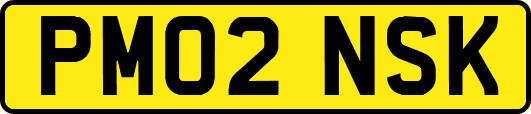 PM02NSK