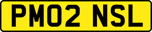 PM02NSL