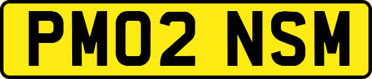 PM02NSM
