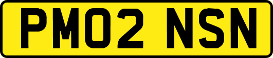 PM02NSN