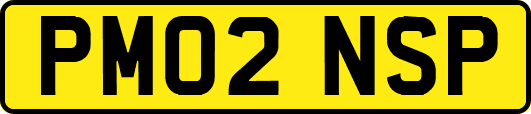 PM02NSP