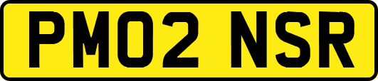PM02NSR