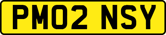 PM02NSY