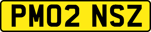 PM02NSZ