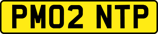 PM02NTP