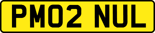 PM02NUL