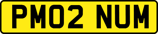 PM02NUM