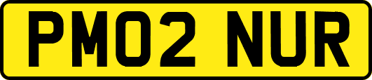 PM02NUR