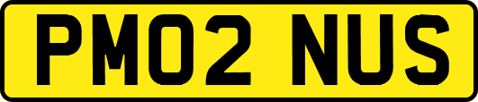 PM02NUS