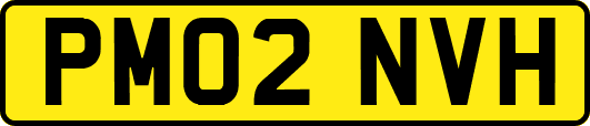 PM02NVH