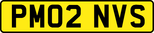 PM02NVS