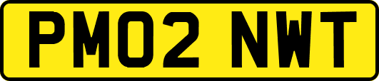 PM02NWT