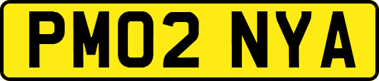 PM02NYA