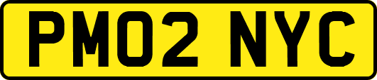 PM02NYC