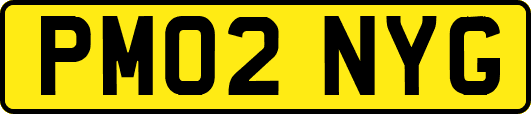PM02NYG