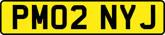 PM02NYJ